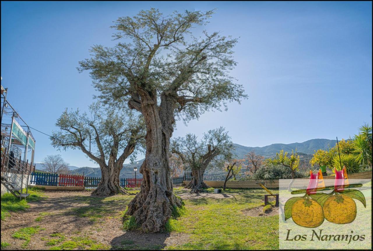 Hostal Y Apartamento Rural Los Naranjos Melegis Esterno foto