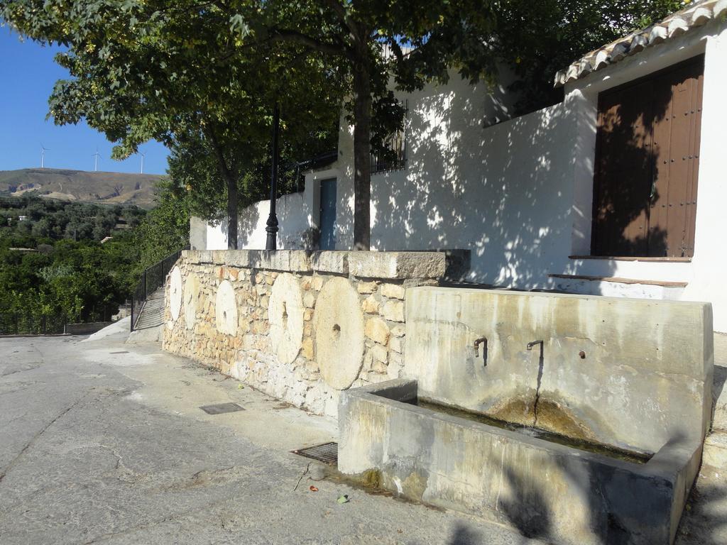 Hostal Y Apartamento Rural Los Naranjos Melegis Esterno foto